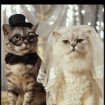 58101_C7BL2O782ZG1F2CJRVHIZWGQ47UXE1_chat7_H171628_L