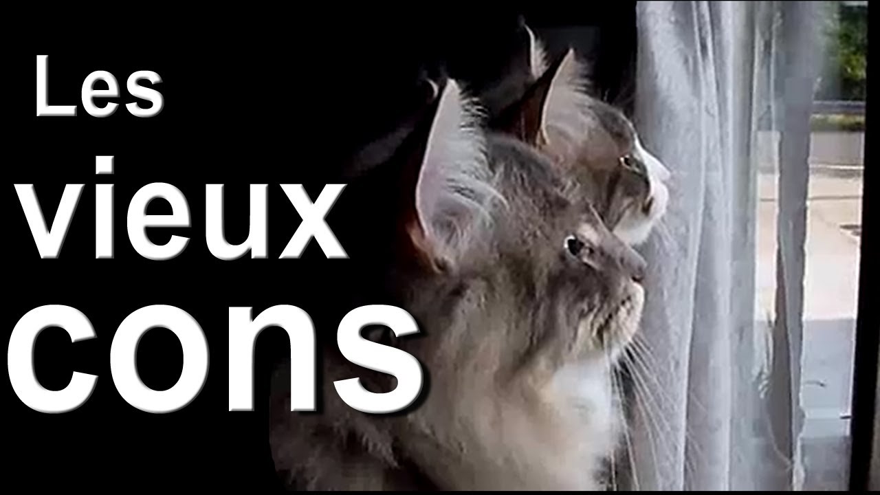 La 7éme année !