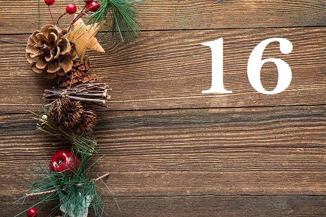 Jour 16