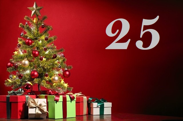 Jour 25 Joyeux Noël !